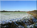 Snowy field near Hougham in Hougham