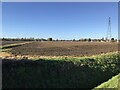 Farmland west of Meadowgate Lane in Wisbech in PE13 2WG