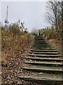 Steps ascending Darby's Hill in B69 1NJ
