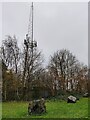 Radio mast on Darby's Hill in B69 1NJ