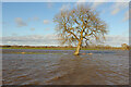 River Trent in spate in NG23 7LZ