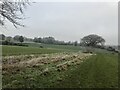 Footpath and Fields between Stallington and Fulford in Fulford