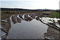 Frozen Field Flood in IV32 7QA