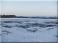 Iced up field, Hodges in EH34 5BG