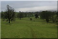 Footpath descending from Gamsbers Wood in BD23 3QB