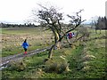 Below Fenwickfield in NE48 3ET