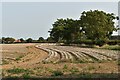Stubble field, Buck's Horn Lane, Belstead in Belstead