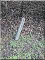 Boundary Marker on the A414 Wycke Hill in Maldon West Ward