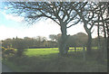 Pasture land between the Cae-Cribyn farm road and Coed Trallwyn in LL53 6RN