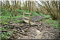 Muddy footpath, Birch Wood in TN17 3NT