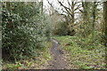 Footpath heading south in TN17 3NT