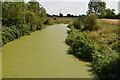 Eutrophic River Beult in ME15 0SH