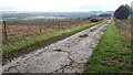 Farm track down from Deanhill Barn in East Dean