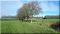 Footpath across fields north of Woodington in SO51 6FE