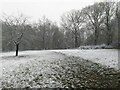 Rutland Meadow in the Snow in RH19 3TR
