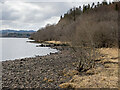 The shore of Loch Awe at Kames Bay in PA35 1HG