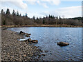 Kames Bay in Inverinan Forest in PA35 1HG