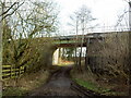 Railway Bridge over Landican Lane. in CH43 3DU