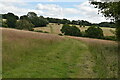 Footpath across meadow in TN8 7ED