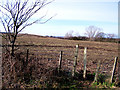 Sticky muddy footpath in Bobbing, Iwade and Lower Halstow Ward