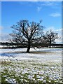 Winter Landscape near Sunley Raynes in Studley Roger