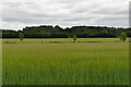 Arable landscape in the Uck valley in TN22 5QD