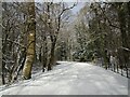 Snow-covered road in the Dalzell Estate in ML1 2RX