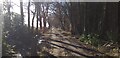 Track to Howes Smallholdings in DG12 5RA