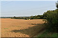 Ploughed farmland adjacent to Tye Lane in IP8 4JZ