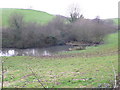 Pond near Old Warren Hill, Symondsbury in DT6 6HJ