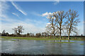 Flood beside Bradford's Brook in OX10 9GL
