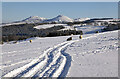 Snow-covered farmland on Touting Birks Hill in TD1 3NT