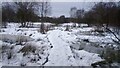 Boardwalk through Ponds on Little Boghead Nature Park in EH48 2RQ