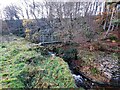 Footbridge over the Bolt's Burn in Deborah Plantation in DH8 9UW