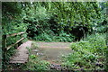 Footbridge crossing the river Glyme at Cleveley in OX7 4BZ