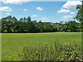 Field north of Grove Farm in HA7 4UY