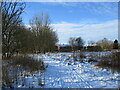 Snowy ground next to Bartonhall Road, Waterloo in ML2 8HF