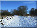 Snow-covered path at Greenhead Moss in ML2 8HF