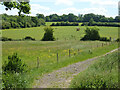 Fields by London LOOP footpath in HA7 4UY