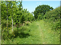 Path along edge of the Woodland Trust's Merry Hill in WD23 1FS