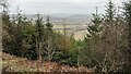 View from the Mortimer Forest (Bringewood) in SY8 2HF