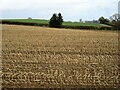 Field of stubble in SY10 7BX
