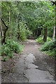 Decommissioned road, Limekiln Wood in TN6 2GX
