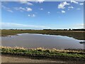 Flooded farmland off Plash Drove between Guyhirn and Murrow in PE13 4HR