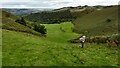 The valley between The Rowls and Stapeley Hill in SY15 6BY