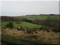 Looking towards Pennyholme in YO62 7JG