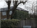 View of a house with ivy growing on it from Roding Lane South in IG8 8ET