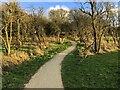 Path through Lady Marjorie's Gorse in MK8 1DG