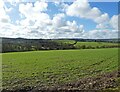Farmland, west of Chittlehampton in EX37 9PY