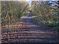 Cycle/walk path through Meikle Earnock, Hamilton in ML3 8RT